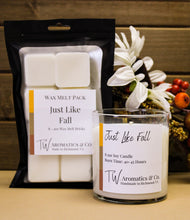 Load image into Gallery viewer, Just Like Fall, 8 Count Wax Melt Package - T. W. Aromatics & Co.