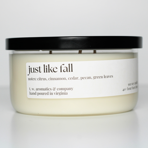 Just Like Fall - Fall 3 Wick Candle