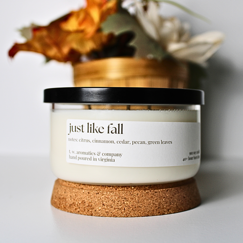 Just Like Fall - Fall 3 Wick Candle